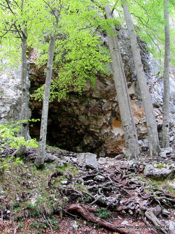 Solčavsko, Logarska dolina, slap Rinka