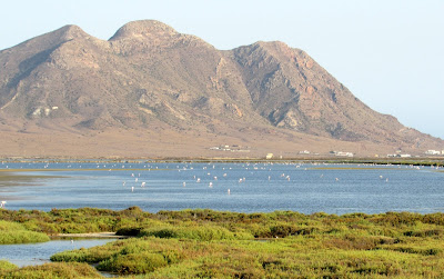 Salinas de Cabo de Gata