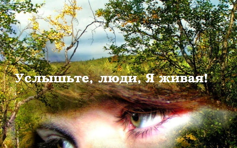 %D0%B7%D0%B5%D0%BC%D0%BB%D1%8F Как восстановить заброшенный участок земли