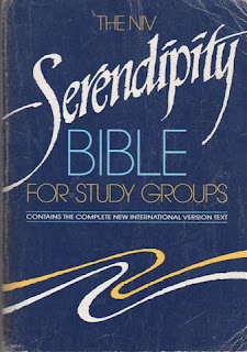 Yapdates A Spiritual Odyssey Bookpastor The Niv Serendipity Bible For Study Groups Serendipity House