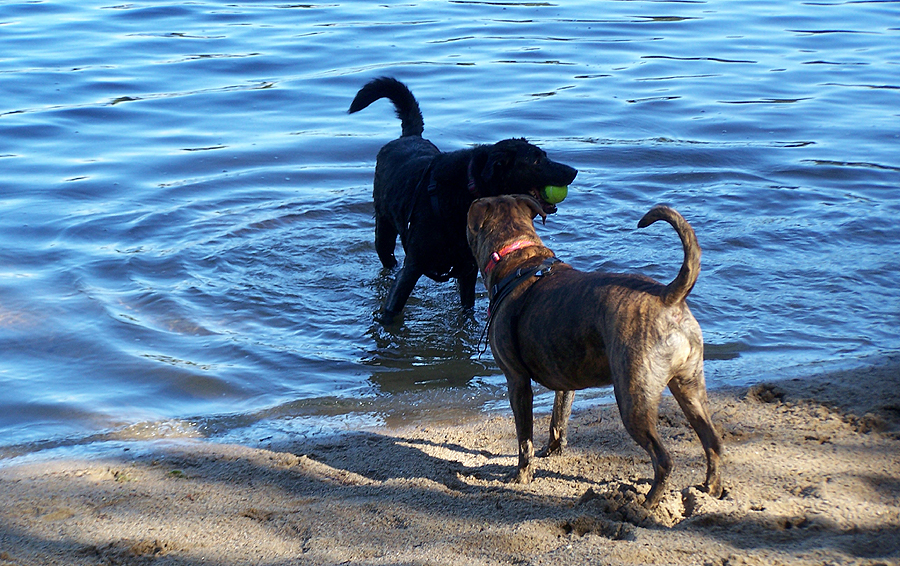 Views from the White Mountains of New Hampshire Mount Chocorua and Moores Pond Fun! June 10th