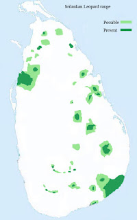 Sri Lanka parsının dağılım haritası