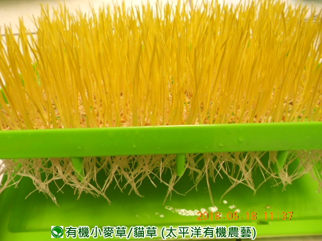 �p��,�߯�ش�,�߯�شӤ�k,�߯�,�߯�O����,�߯�diy,�߯�p����,�߯����,�^�K���@�k,�ؿ߯�