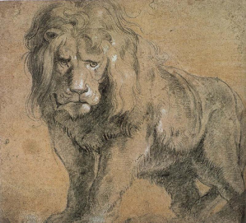El Hurgador [Arte en la Red]: Rubens y los felinos