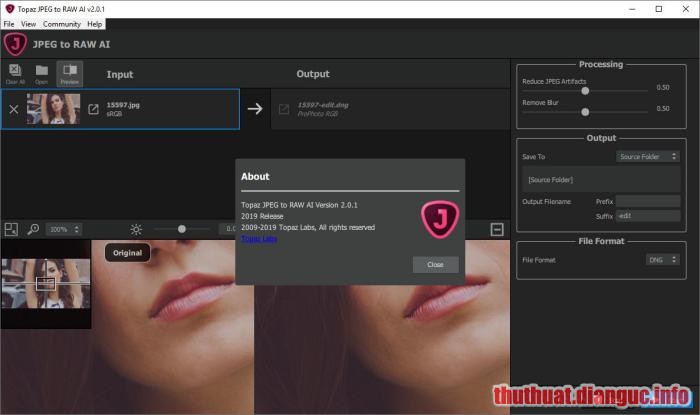 Download Topaz JPEG to RAW AI 2.2.1 Full Crack, phần mềm chuyển đổi ảnh JPEG thành RAW chất lượng cao, Topaz JPEG to RAW AI, Topaz JPEG to RAW AI free download, Topaz JPEG to RAW AI full crack, Topaz JPEG to RAW AI full key