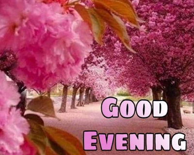 Good evening Images | Best 25+ Good evening Images Good evening Images | Best 25+ Good evening Images