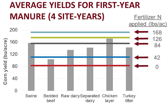 corn yield manure fertilizer nitrogen