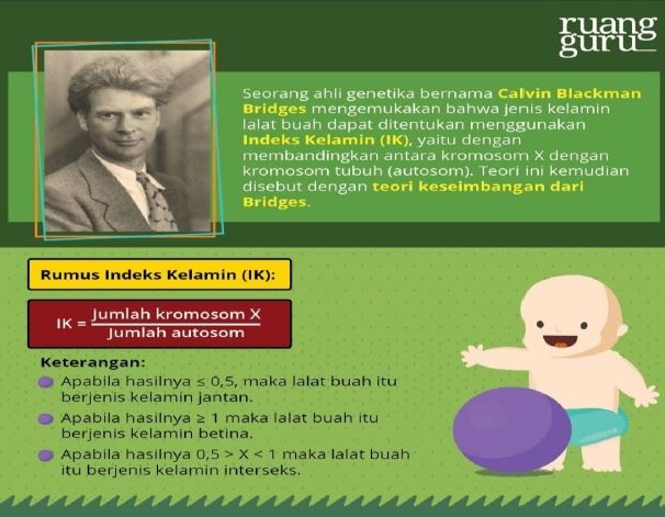 Materi PolaPola Hereditas Pada Makhluk Hidup Mapel