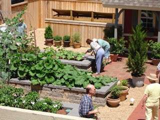 Home Designs: Best Home Vegetable Garden Design Ideas