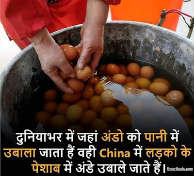 नए ज्ञान और रोचक तथ्य | New knowledge and interesting facts नए ज्ञान और रोचक तथ्य | New knowledge and interesting facts