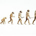 Evolução Natural - O Progresso da Umbanda