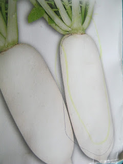 The radish as printed on the package