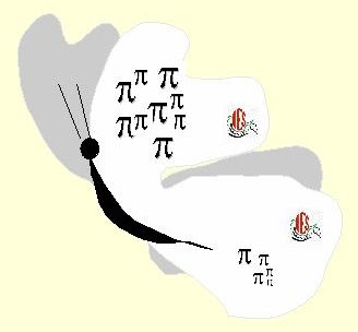 Enroque De Ciencia Haikus 314 O Pikus 3 1 4