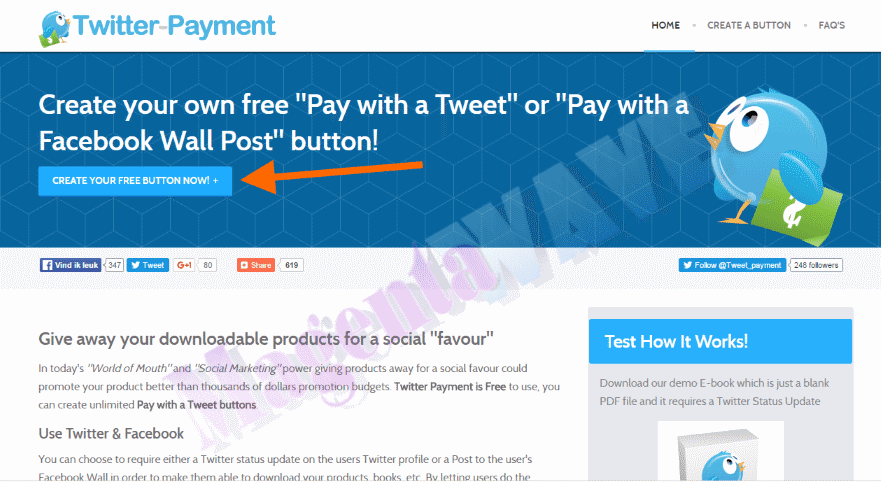 Стартовая страница Twitter-payment