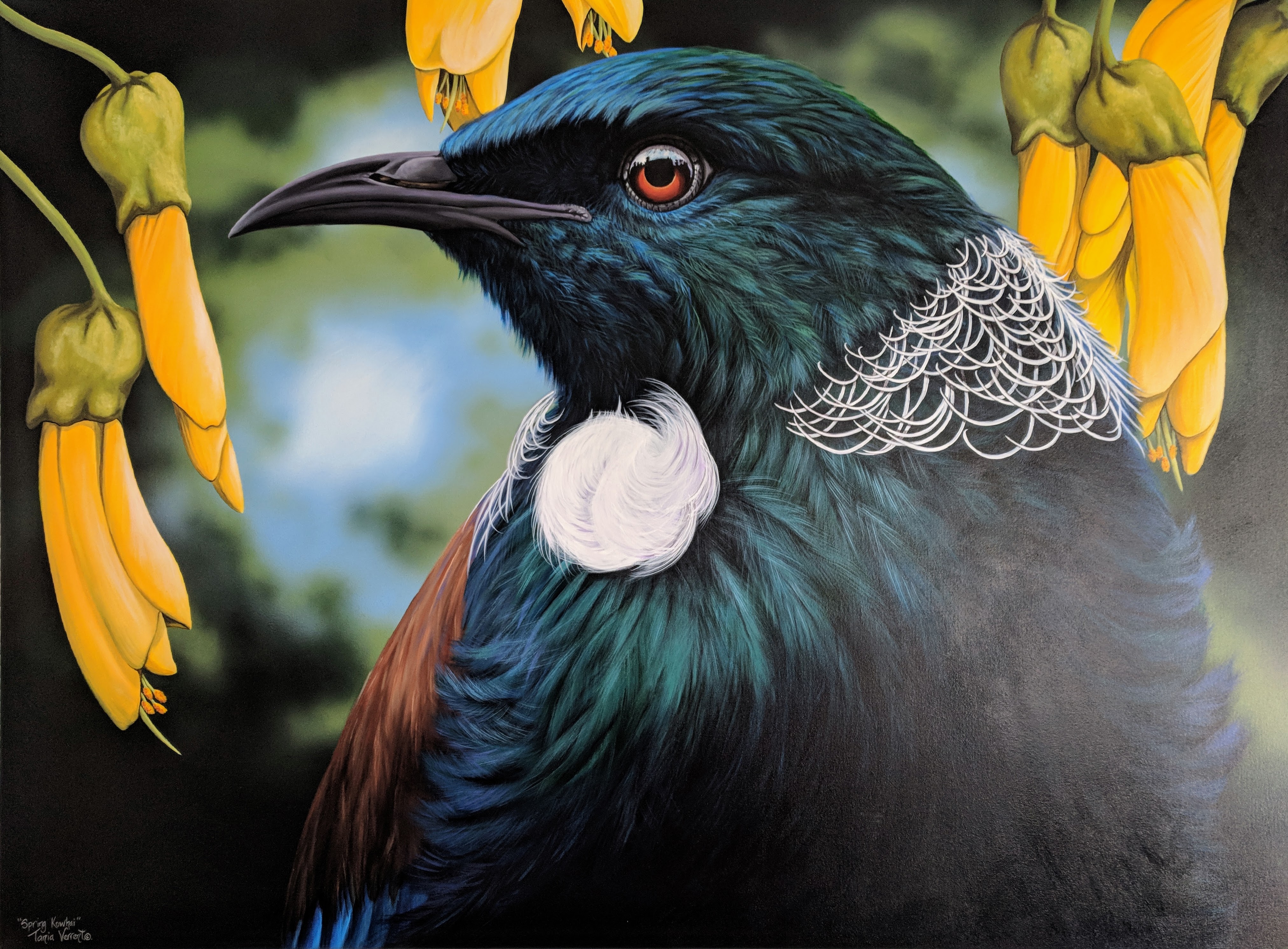 Tui painting / print