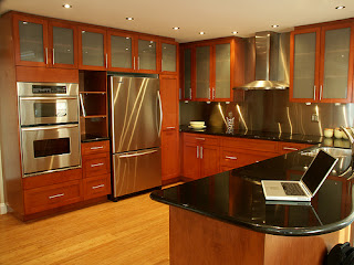 contemporary stainless steel kitchen cabinets pictures