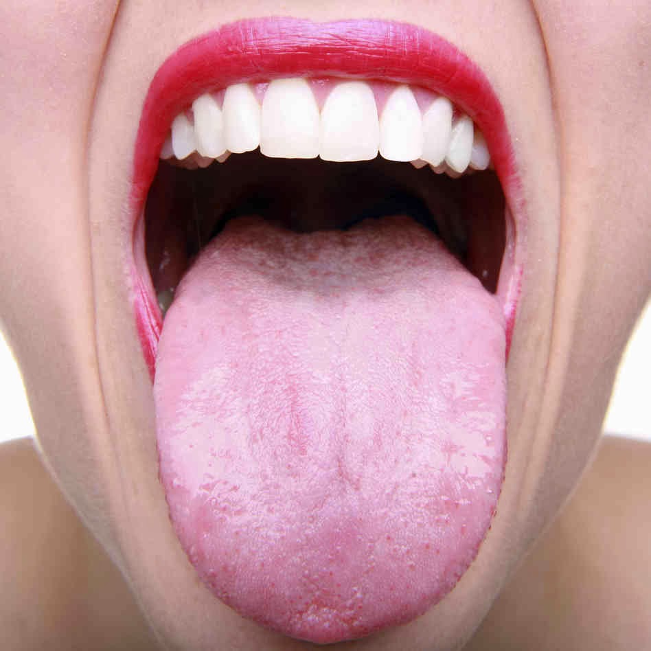Bacteria Found In The Mouth 2