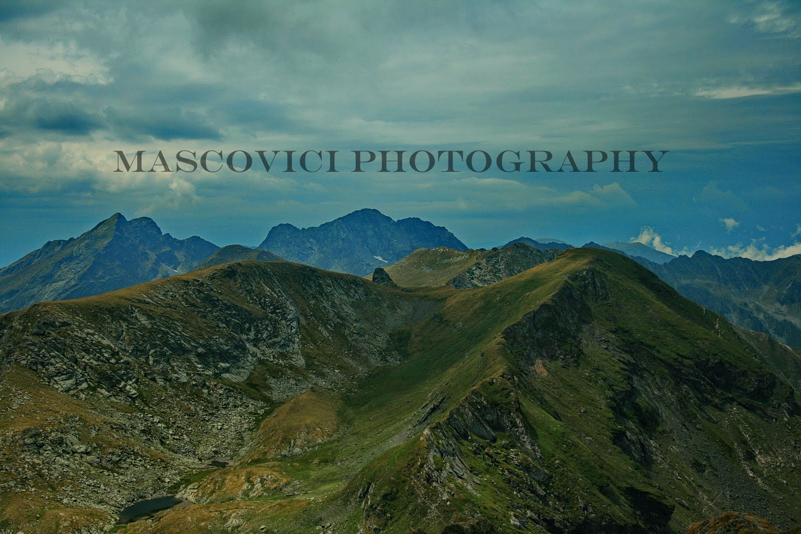 Mascovici Photography