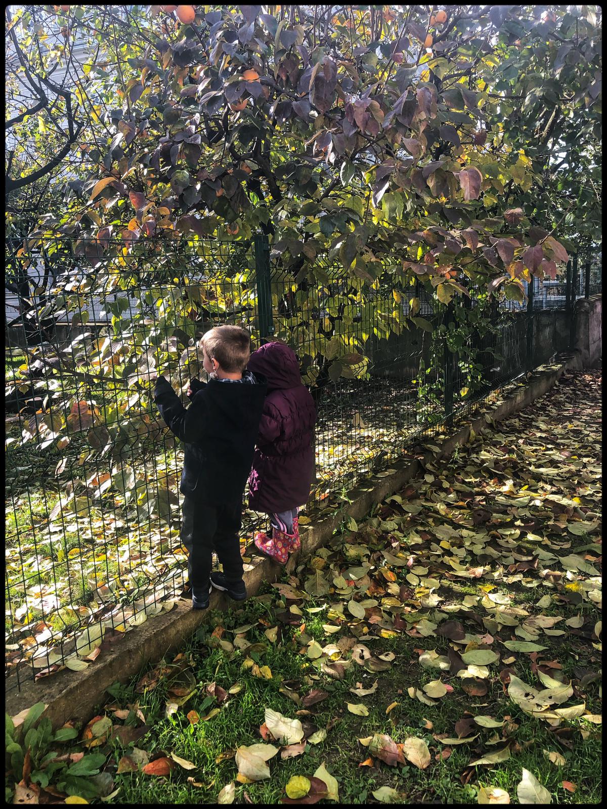 Pelin Pembesi Cuma Geçti Bile