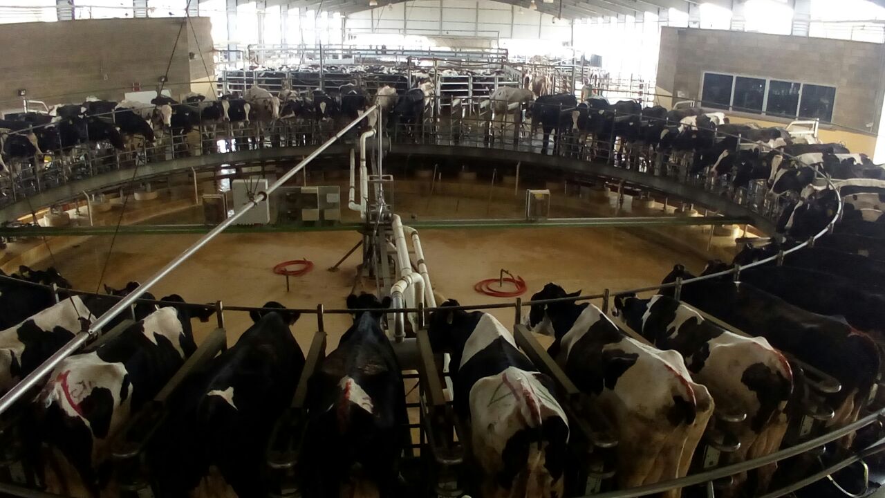 Factores importantes para la producción pecuaria Tecnologías en la ganadería