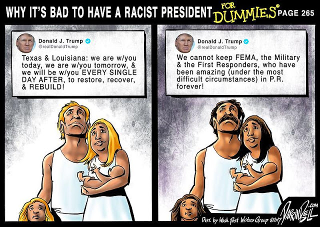 Title:  Why It's Bad To Have a Racist President for Dummies, Page 255.  Image One:  Picture of white couple with Donald Trump tweet saying, 