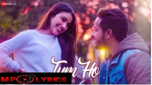 Tum Ho Lyrics – Shahzeb Tejani hindi latest song video download