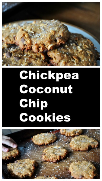 A healthy cookie alternative with toasted coconut and chocolate chips, gluten free dairy free