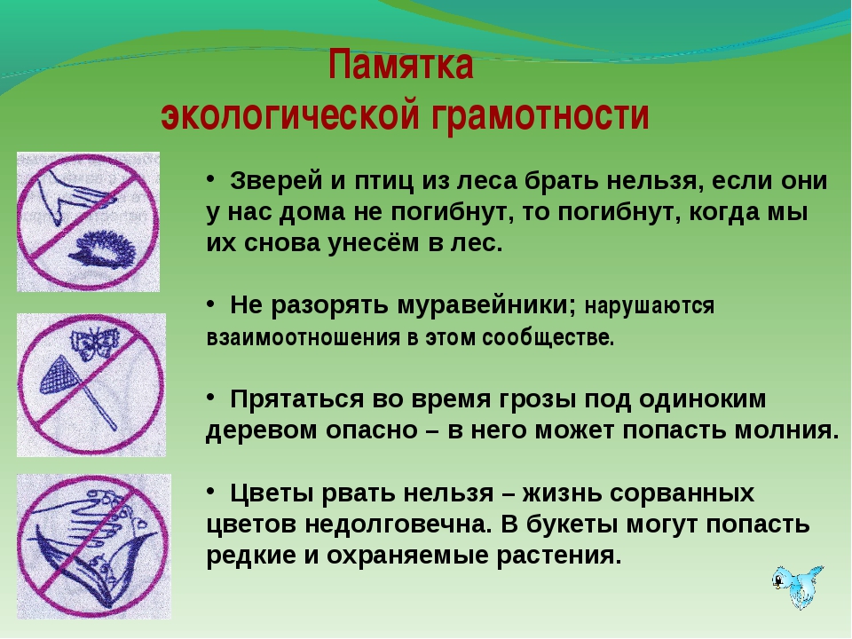 Тест 3 класс школа россии экологическая безопасность. Экологическая безопасность доклад. Экология это 3 класс. Что такое экология 3 класс окружающий мир. Экологическая безопасность презентация.