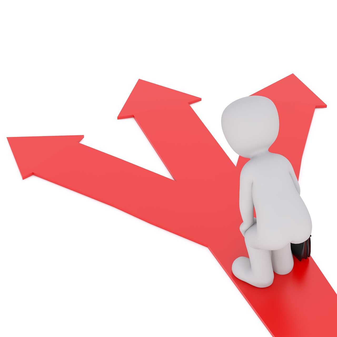 tercihi yaparken nelere dikkat etmeli