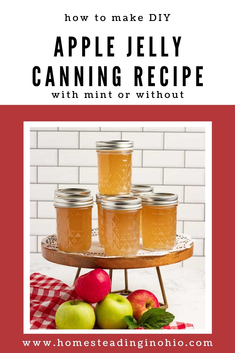 Old Fashioned Apple and Mint Jelly Recipe (Canning Recipe