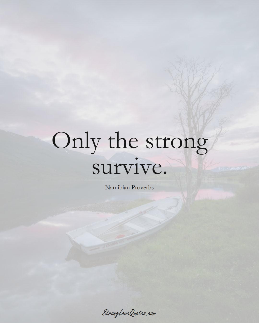 Only the strong survive. (Namibian Sayings);  #AfricanSayings