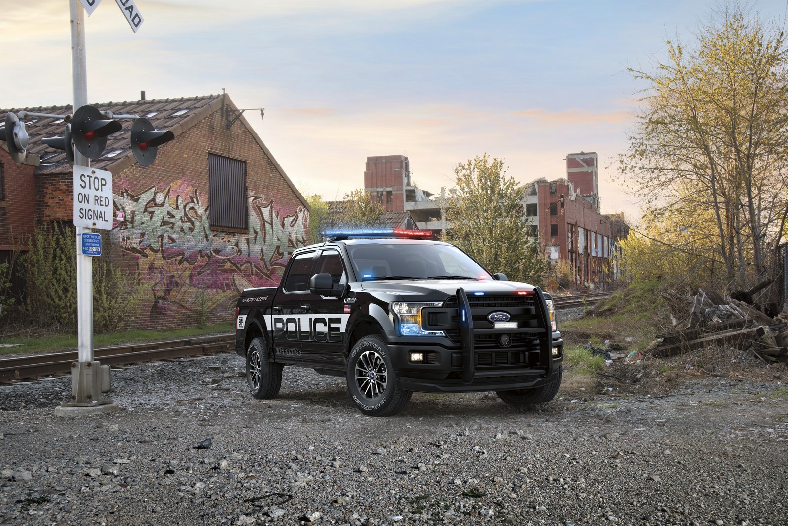 Ford-F-150-Police-Responder-3.jpg