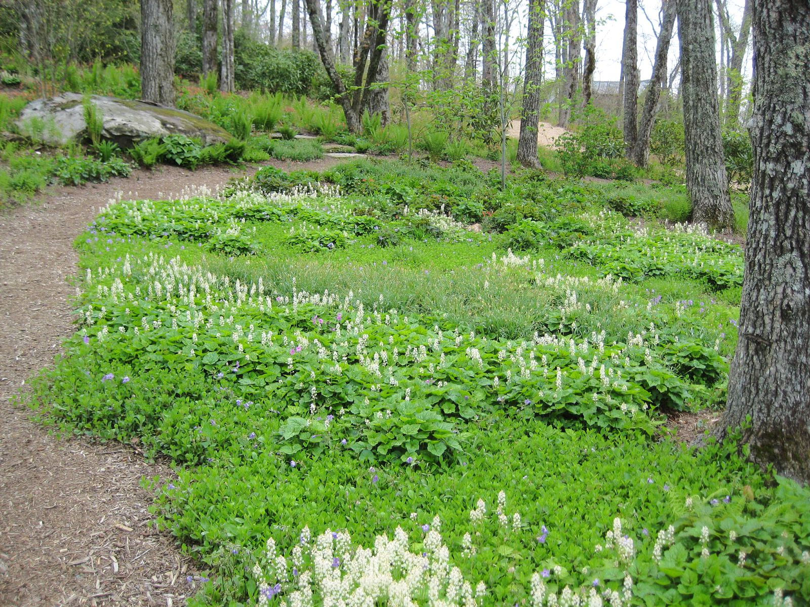 Using Native Plants Made in the Shade