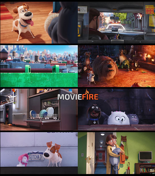 The Secret Life of Pets (2016) 1080p