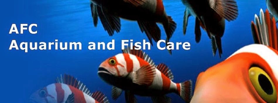 Aquarium and Fish Care