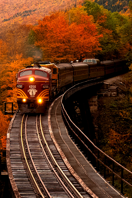 Train Bridge Fall Leaves