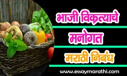 bhaji-vikretyache-manogat-marathi-nibandh