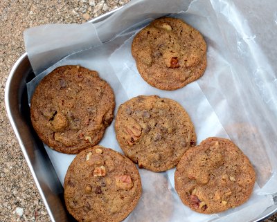 Mocha Chocolate Chip Cookies ♥ KitchenParade.com, a coffee fix and a chocolate fix both at once.