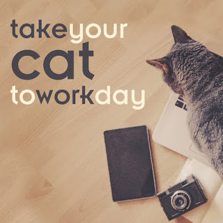 National Take Your Cat to Work Day HD Pictures, Wallpapers