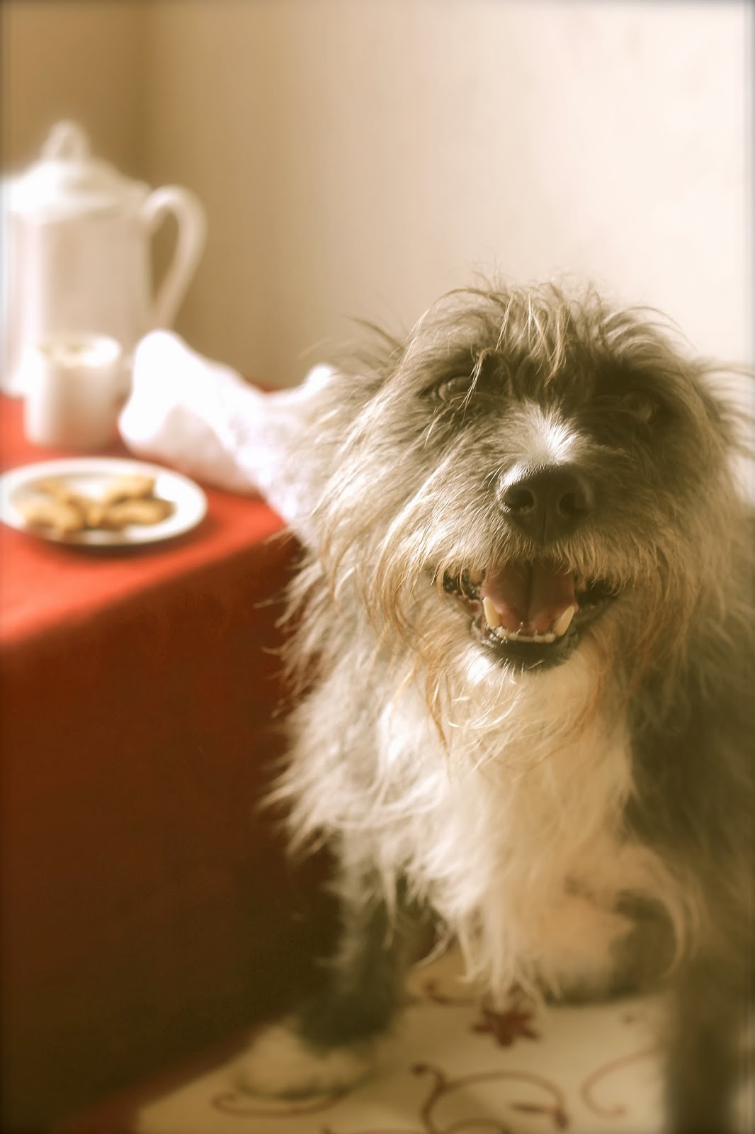 Where Your Treasure Is Animal Crackers and Cocoa to Drink