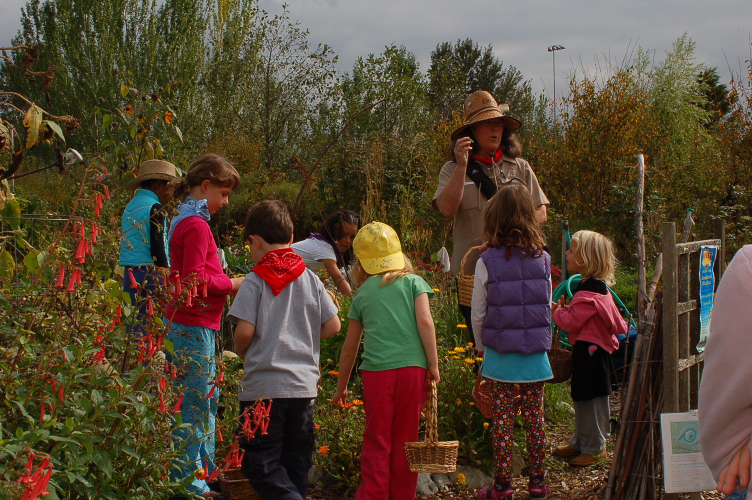 Nature Programs sponsored by Magnuson Community Center: Plenty of Fun ...