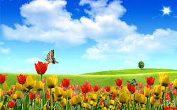 yellow background roses flowers desktop rose flower computer landscape backgrounds nature garden beauttiful banners spring pretty