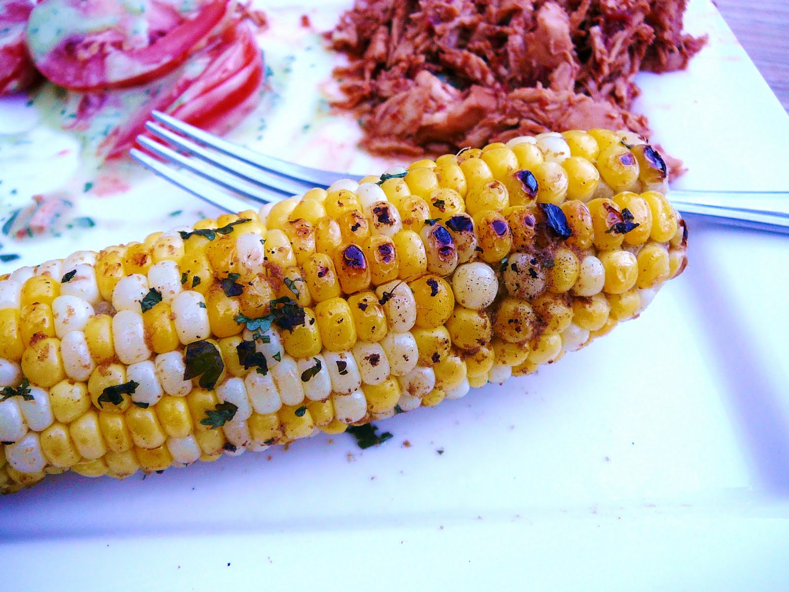 Eighty Twenty 80 Cumin Cilantro CornontheCob