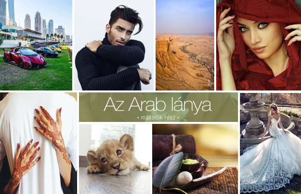 My Relationship With Books Blog Borsa Brown Az Arab Lanya Masodik Resz