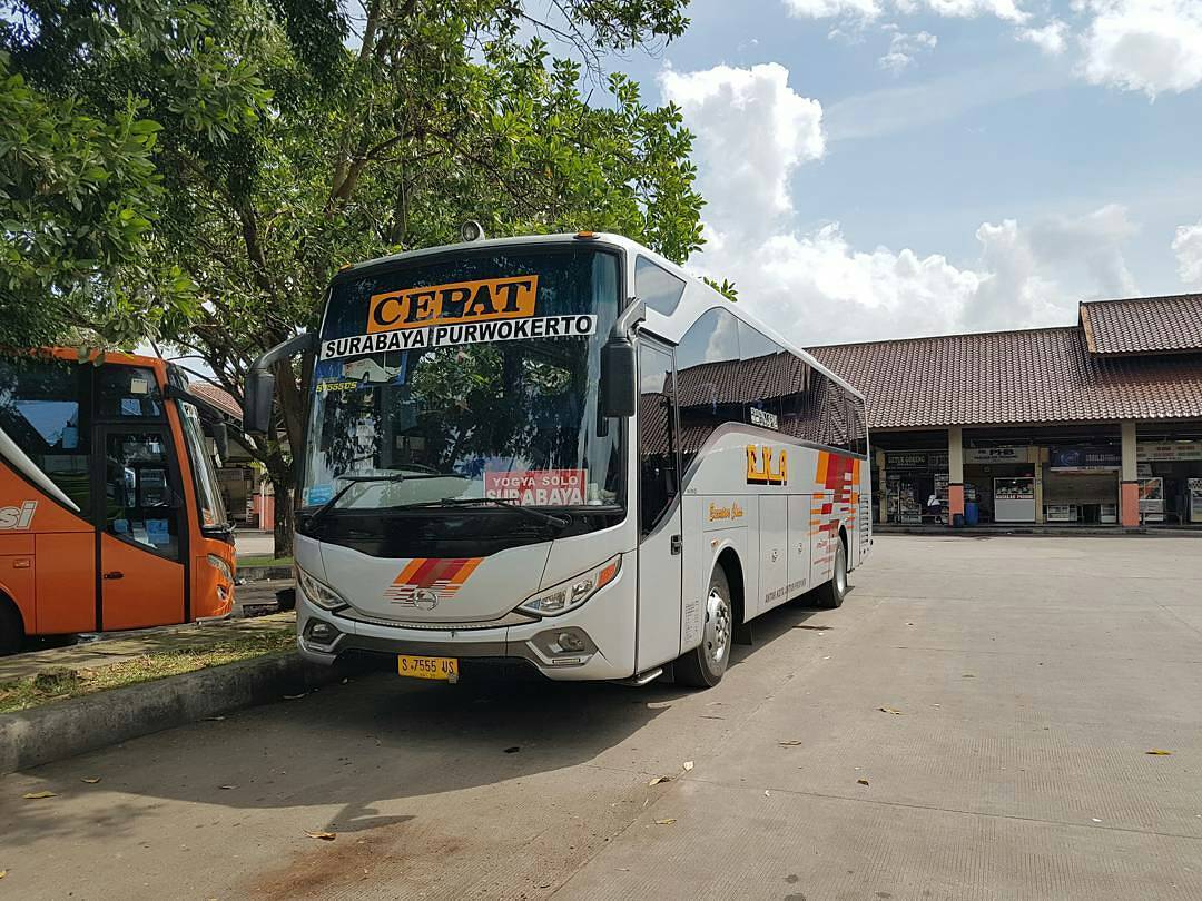 Jadwal Bus Indonesia Ekonomi Semarang Surabaya - Jadwal Bus