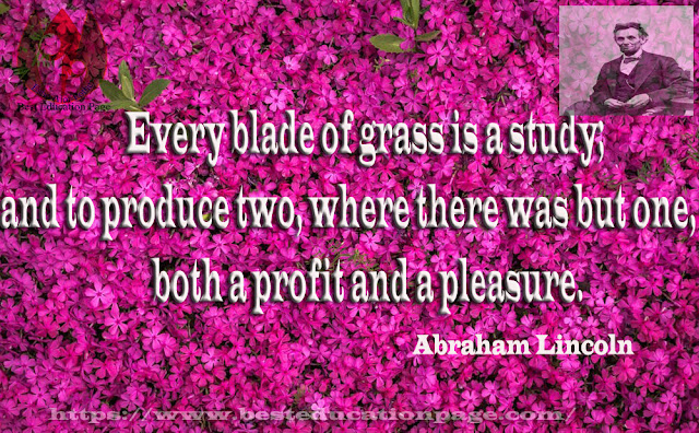 Every blade of grass is a study; and to produce two, where there was but one, is  both a profit and a pleasure.