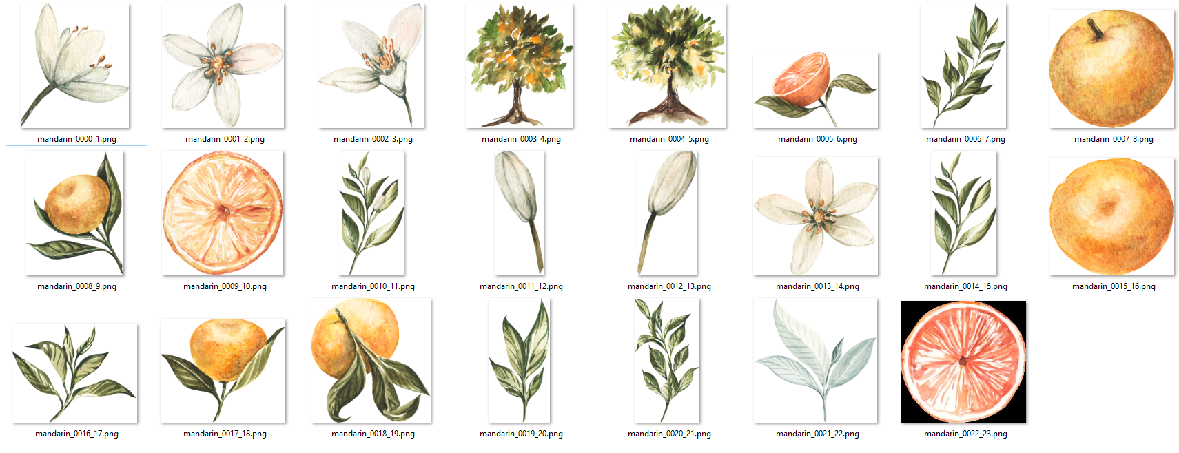 Cut-out png images of different flowers and flower motifs with the highest quality for printing on materials