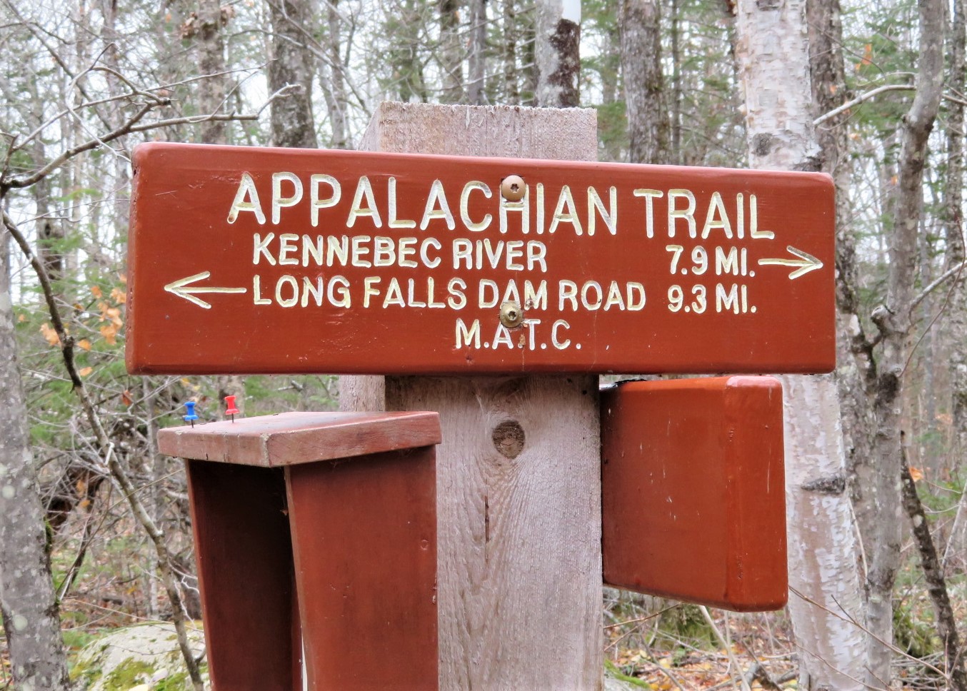 more plenty of fish dating