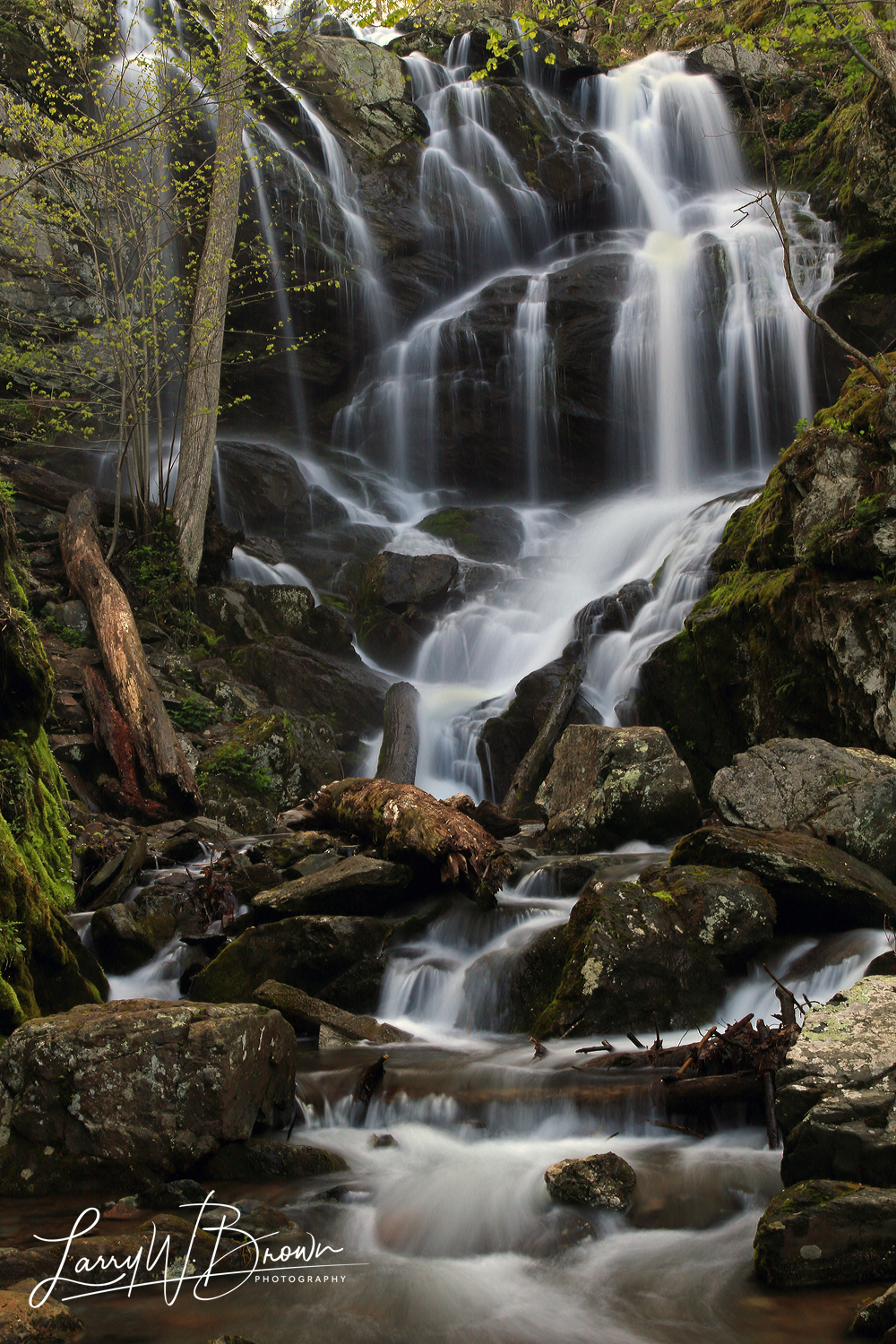 Shenandoah National Park Waterfalls Guide Lower Doyles River Falls