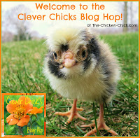The Clever Chicks Blog Hop at The-Chicken-Chick.com